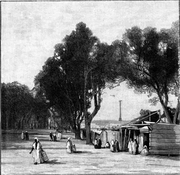 Street scene with Pompeys Pillar in the distance, Alexandria, Egypt