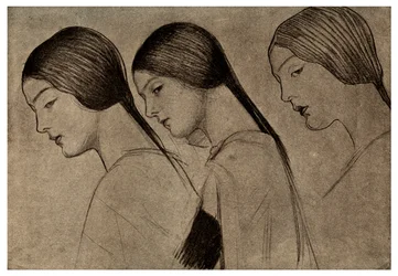 Study