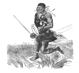 Swazi Scout