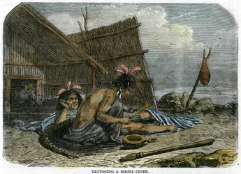 Tattooing a Maori Chief, New Zealand