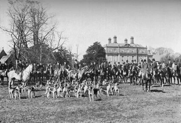 The Albrighton Hounds: A Meet at Stretton