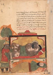 The Ascetic Witnesses the Woman Trying to Poison the Lover, Folio from a Kalila, 18th century