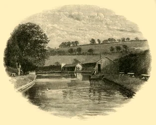 The Bathing-Place
