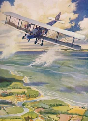 The Beauty of Flight
