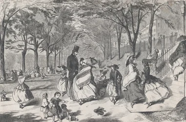 The Boston Common Harper