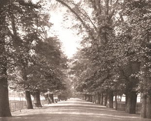 The Broad Walk, Oxford