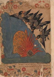 The Crows Trap the Owls in Their Cave by Lighting a Fire at the Entrance and Fanning