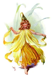 The Daffodil