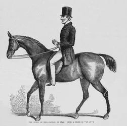 The Duke of Wellington