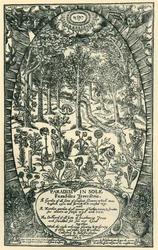 The Garden of Eden