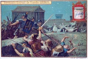 The Geese of the Capital, Liebig Continental Trade Card