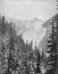 The Illicilliwaet Glacier