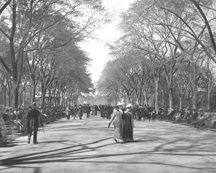 The Mall, Central Park, New York, USA