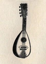 The Mandoline, 1895