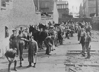 The New Army in training at the Farriers School