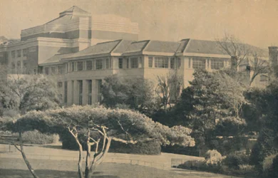 The New Pavilion