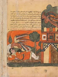 The Parent Bird Blinds the Prince in Revenge for the Death of her Young One