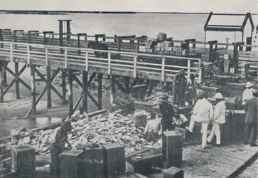 The Pearl Fishing Industry - Packing Shell, 1923