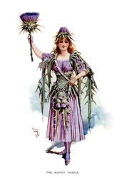 The Scotch Thistle, 1899