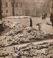 The State Funeral of King George V at Windsor: memorial wreaths