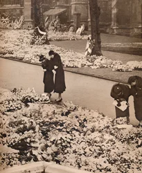 The State Funeral of King George V at Windsor: Memorial Wreaths