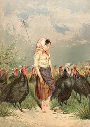The Turkey Guardian, 1858