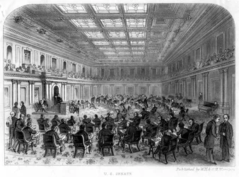The US Senate