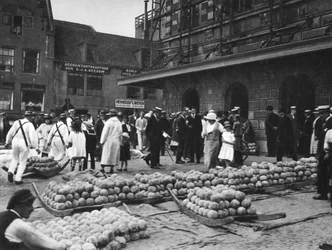 The cheese market on Friday, Alkmaar, Netherlands