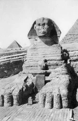 The excavated Sphinx, Cairo, Egypt
