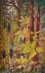 The Gigantic Vegetation of the Carboniferous Age