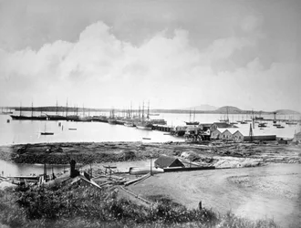The Port, Auckland, New Zealand