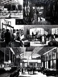 The process of moving chilled meat from the US to Liverpool