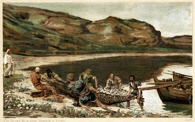 The Second Miraculous Draught of Fishes
