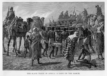 The Slave Trade in Africa: A Gang on the March, c1875