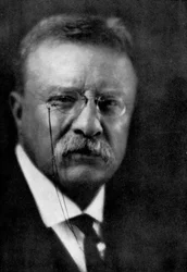 Theodore Roosevelt, 26th President of the United States, 1933