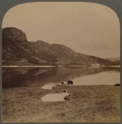 Thirlmere, a Lake Reservoir, the Water-Supply of Manchester 96 Miles Distant, Lake District, England