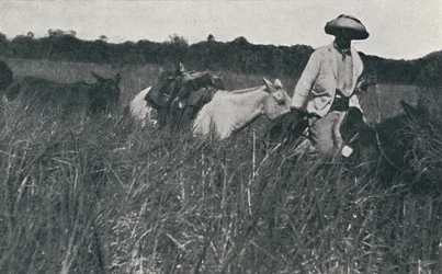 Travel on the Pampas