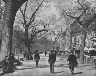 Tremont Street and The Common, Boston, USA