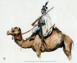 Trooper of the Camel Corps of the First Napoleon