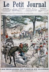 Troops Trying to Contain a Forest Fire, Algeria