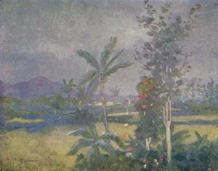 Tropical Rains in the West Indies