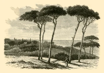 Tusculum