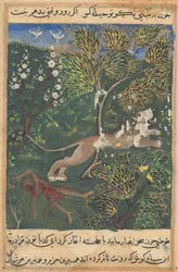 Tuti-Nama Tales of a Parrot: Tale XXIX