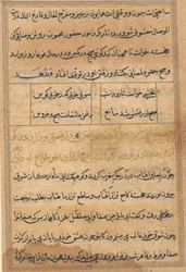 Tuti-Nama Tales of a Parrot
