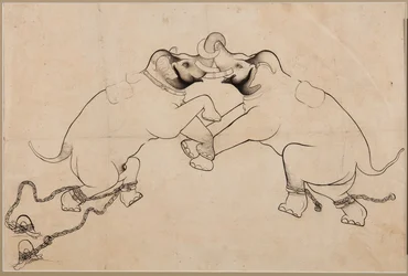 Two Elephants in Combat