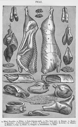 Veal, 1907
