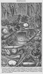 Vegetables, 1907