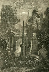 View in Highgate Cemetery