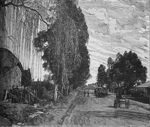 View near Pretoria