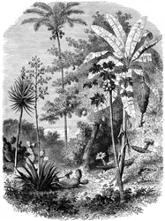 View of the Spanish Main, Guatemala